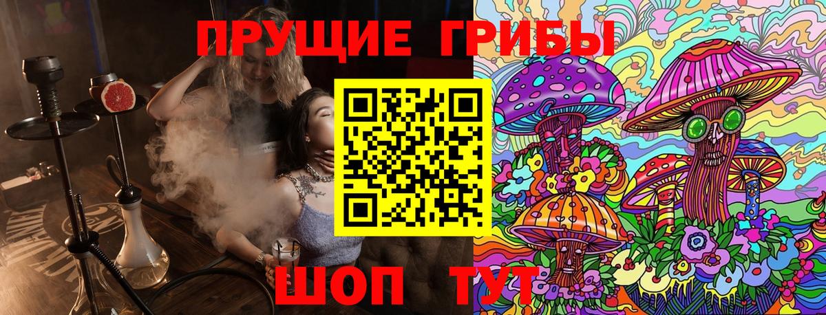 Псилоцибиновые грибы мицелий Коммунар